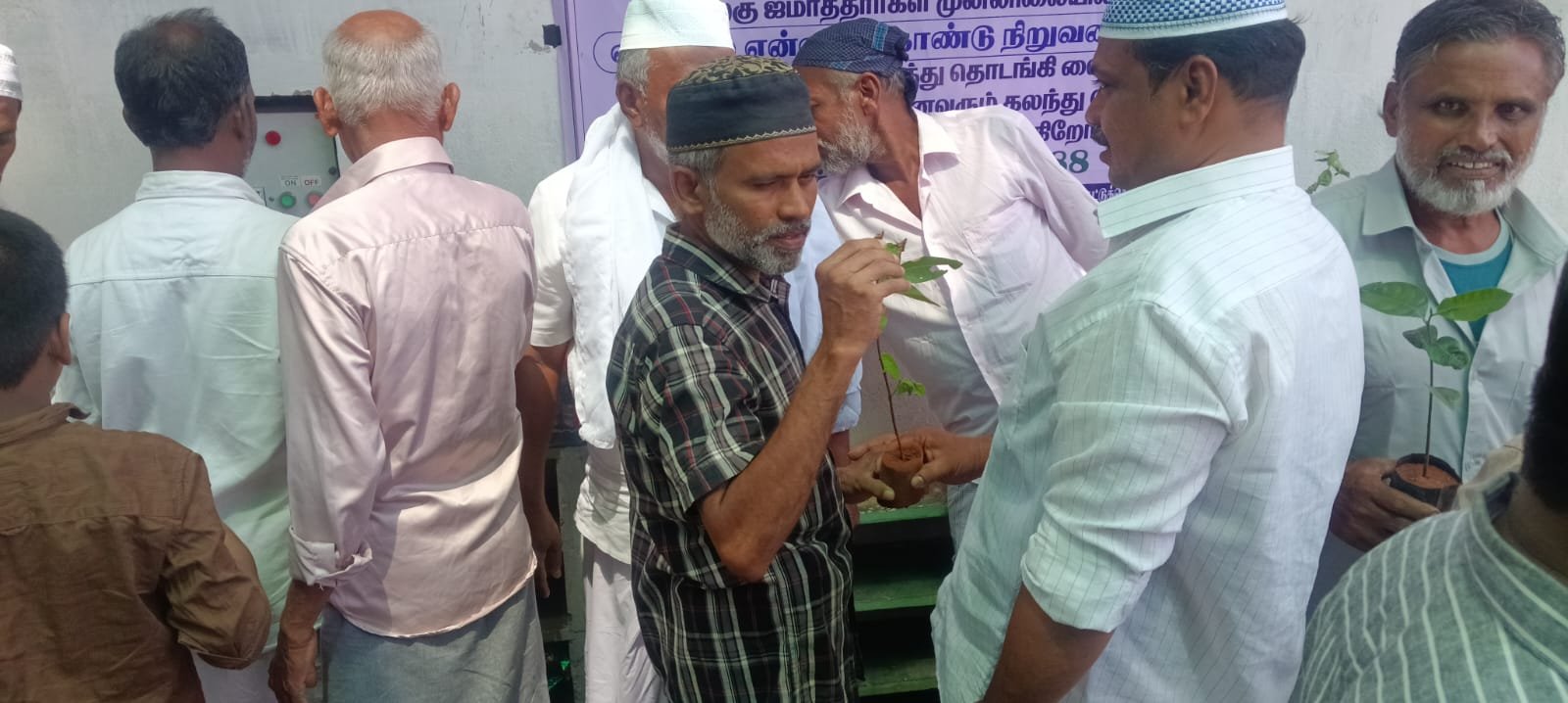 Tree plantation drive